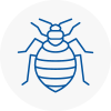 Bed Bug Extermination In Burghfield