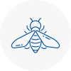 Bee Nest Removal Burghfield