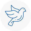 Bird Prevention Burghfield