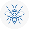 Burghfield Hornet Nest Removals