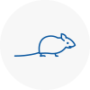 Mice Exterminators In Burghfield