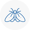 Moth Control Specialists In Burghfield