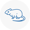 Rat Control Burghfield