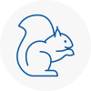 Burghfield Rodent Removals